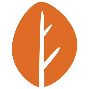 playconnecthub.com favicon
